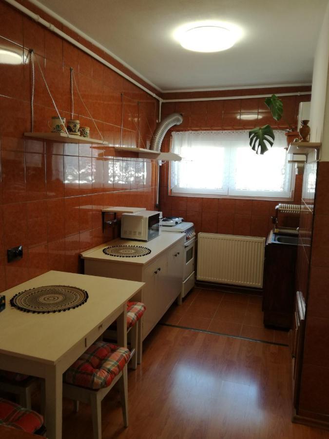 Sara Apartman Targu Mures Ngoại thất bức ảnh
