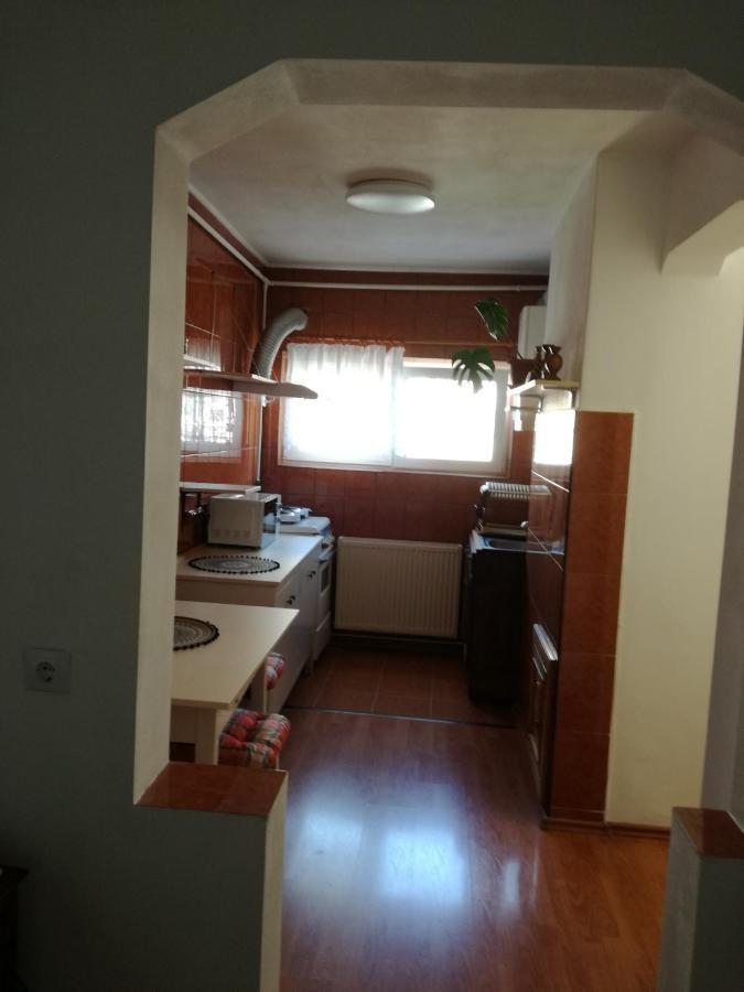 Sara Apartman Targu Mures Ngoại thất bức ảnh